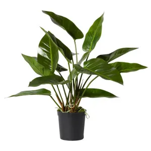 Elme Potted Deluxe Artificial Anthurium Plant, 70cm by Elme Living, a Plants for sale on Style Sourcebook