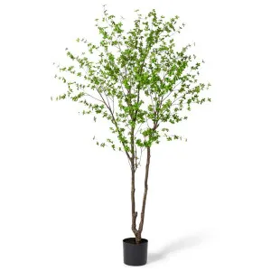Elme Potted Artificial Pieris Tree, 300cm, Dark Green Foliage by Elme Living, a Plants for sale on Style Sourcebook