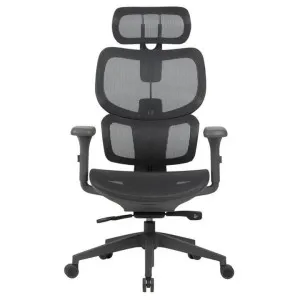 Stanton Mesh Ergonomics Office Chair by Conception Living, a Chairs for sale on Style Sourcebook