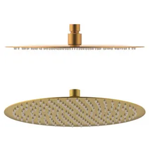 Soul Rain Shower Rose | Made From Stainless Steel/Brushed Brass By ADP by ADP, a Showers for sale on Style Sourcebook