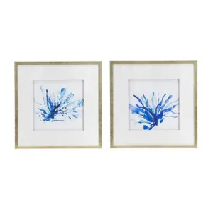 "Blue Seaweed" 2 Piece Framed Wall Art Print Set, 56cm by Diaz Design, a Artwork & Wall Decor for sale on Style Sourcebook