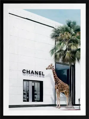 Rodeo Drive Framed Art Print by Urban Road, a Prints for sale on Style Sourcebook