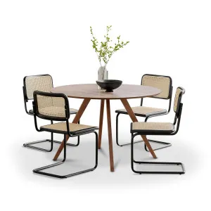 Milari 5 Piece Walnut Dining Set with Blaire Rattan Cantilever Chairs by L3 Home, a Dining Sets for sale on Style Sourcebook