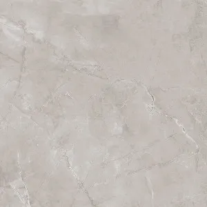 Ambience Artic Grey Polished Tile by Beaumont Max, a Marble Look Tiles for sale on Style Sourcebook