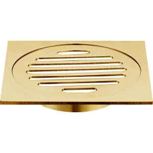 Haus 25 Grate Sq 110x110x80mm Brushed Gold by Haus25, a Shower Grates & Drains for sale on Style Sourcebook