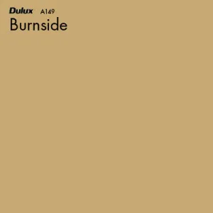 Burnside by Dulux, a Yellows for sale on Style Sourcebook