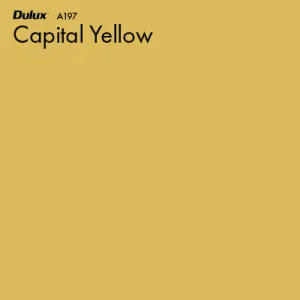 Capital Yellow by Dulux, a Yellows for sale on Style Sourcebook