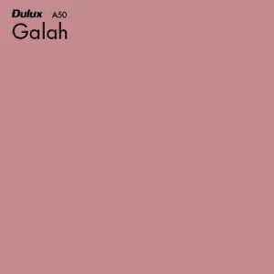 Galah by Dulux, a Reds for sale on Style Sourcebook