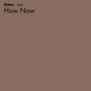 How Now by Dulux, a Browns for sale on Style Sourcebook
