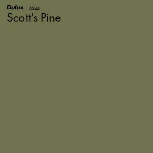 Scott's Pine by Dulux, a Greens for sale on Style Sourcebook