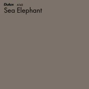 Sea Elephant by Dulux, a Whites and Neutrals for sale on Style Sourcebook