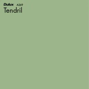 Tendril by Dulux, a Greens for sale on Style Sourcebook