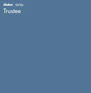 Trustee by Dulux, a Blues for sale on Style Sourcebook