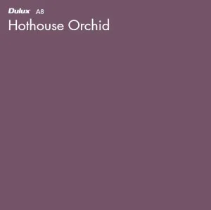 Hothouse Orchid by Dulux, a Purples and Pinks for sale on Style Sourcebook