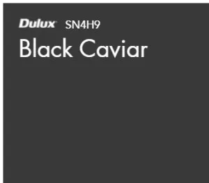 Black Caviar by Dulux, a Greys for sale on Style Sourcebook