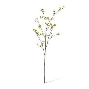 Elm Seeding Spray - 30 x 25 x 107cm by Elme Living, a Plants for sale on Style Sourcebook
