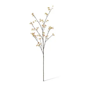 Elm Seeding Spray - 30 x 25 x 107cm by Elme Living, a Plants for sale on Style Sourcebook