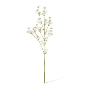 Queen Anne Lace Wild Spray - 33 x 28 x 76cm by Elme Living, a Plants for sale on Style Sourcebook
