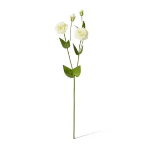 Lisianthus Spray - 30 x 15 x 67cm by Elme Living, a Plants for sale on Style Sourcebook