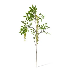 Simarouba Seeding Branch - 60 x 48 x 124cm by Elme Living, a Plants for sale on Style Sourcebook