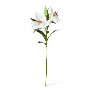 Lily Tiger Spray - 40 x 34 x 95cm by Elme Living, a Plants for sale on Style Sourcebook