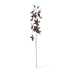 Orchid Oncidium Stem - 50 x 20 x 109cm by null, a Plants for sale on Style Sourcebook