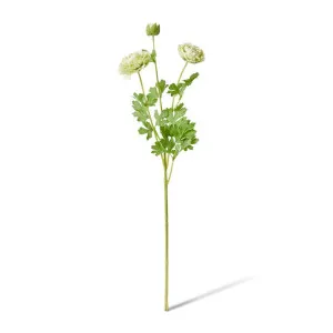 Ranunculus Flower Spray - 20 x 18 x 64cm by Elme Living, a Plants for sale on Style Sourcebook