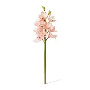 Orchid Cymbidium Spray - 18 x 18 x 61 cm by Elme Living, a Plants for sale on Style Sourcebook