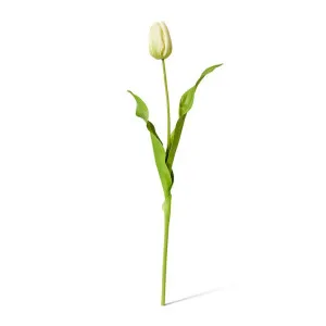 Tulip Dutch Stem - 13 x 10 x 57 cm by Elme Living, a Plants for sale on Style Sourcebook