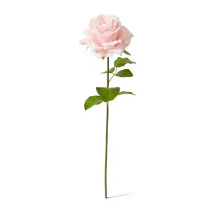 Rose Garden Short Stem (RT) - 14 x 12 x 45 cm by Elme Living, a Plants for sale on Style Sourcebook