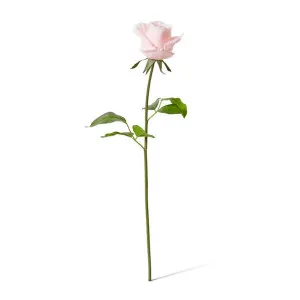 Rose Classic Short Stem (RT) - 14 x 12 x 45 cm by Elme Living, a Plants for sale on Style Sourcebook
