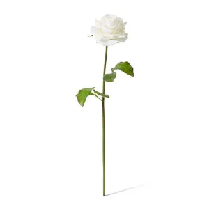 Rose Rambler Short Stem (RT) - 14 x 12 x 45 cm by Elme Living, a Plants for sale on Style Sourcebook