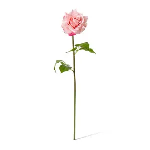 Rose Rambler Short Stem (RT) - 14 x 12 x 45 cm by Elme Living, a Plants for sale on Style Sourcebook