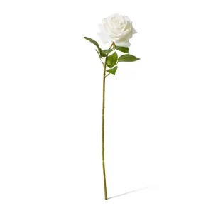 Rose Garden Stem (RT) - 22 x 14 x 66 cm by Elme Living, a Plants for sale on Style Sourcebook
