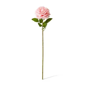 Rose Austin Stem (RT) - 22 x 14 x 66 cm by Elme Living, a Plants for sale on Style Sourcebook