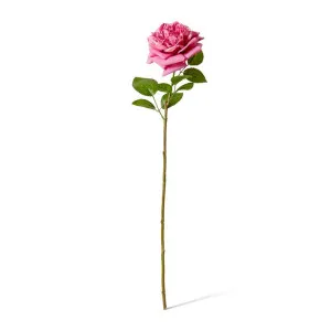 Rose Austin Stem (RT) - 22 x 14 x 66 cm by Elme Living, a Plants for sale on Style Sourcebook