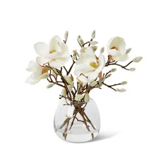 Magnolia - Alma Vase - 38 x 38 x 33 cm by Elme Living, a Plants for sale on Style Sourcebook