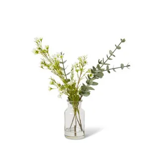 Wax  Flower & Eucalyptus - Specimen Bottle - 22 x 16 x 36 cm by Elme Living, a Plants for sale on Style Sourcebook