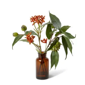 Kangaroo Paw & Eucalyptus - Specimen Bottle - 44 x 44 x 50 cm by Elme Living, a Plants for sale on Style Sourcebook