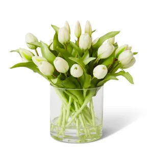 Tulip - Vera Vase - 35 x 35 x 32 cm by Elme Living, a Plants for sale on Style Sourcebook