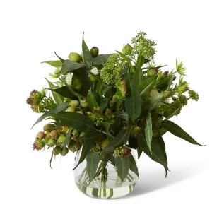 Leucadendron & Kangaroo Paw Mix  - Alma Vase - 50 x 42 x 52 cm by Elme Living, a Plants for sale on Style Sourcebook