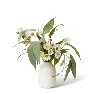 Flowering Eucalyptus - Damita Vase - 36 x 46 x 46 cm by Elme Living, a Plants for sale on Style Sourcebook