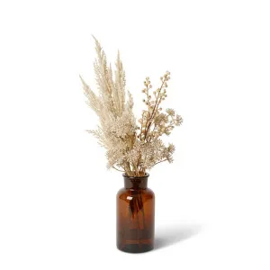 Pampas Grass & Aralia Mix  - Specimen Bottle - 24 x 18 x 46 cm by Elme Living, a Plants for sale on Style Sourcebook
