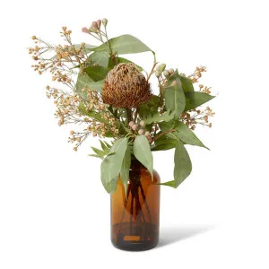 Banksia & Popcorn Flower Mix  - Specimen Bottle - 40 x 36 x 52 cm by Elme Living, a Plants for sale on Style Sourcebook