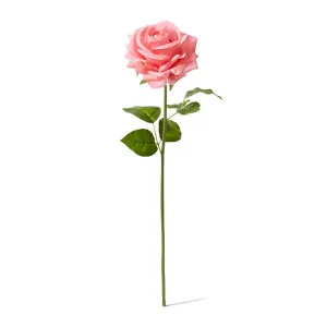 Rose Garden Short Stem (RT) - 14 x 12 x 45cm by Elme Living, a Plants for sale on Style Sourcebook
