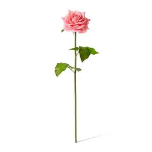Rose Rambler Short Stem (RT) - 14 x 12 x 45cm by Elme Living, a Plants for sale on Style Sourcebook