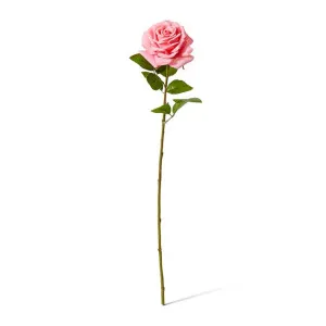 Rose Garden Stem (RT) - 22 x 14 x 66cm by Elme Living, a Plants for sale on Style Sourcebook