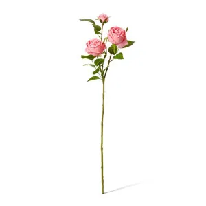 Rose Austin Spray (RT) - 24 x 16 x 78cm by Elme Living, a Plants for sale on Style Sourcebook