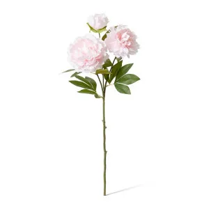 Queen Peony Spray - 30 x 20 x 76cm by Elme Living, a Plants for sale on Style Sourcebook
