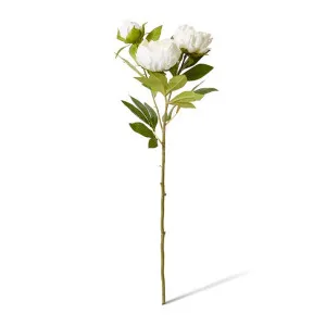 Classic Peony Spray - 27 x 24 x 75cm by Elme Living, a Plants for sale on Style Sourcebook